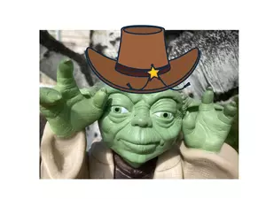 READ MORE: Montana Star Wars fans ranked