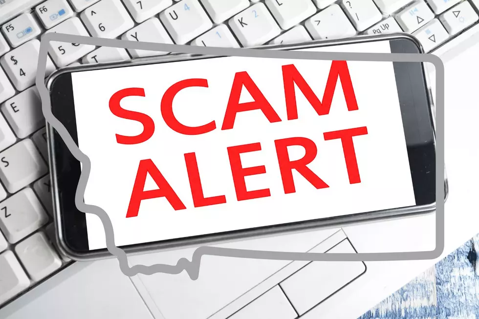 New Phone Scam Area Codes Revealed In Latest Report